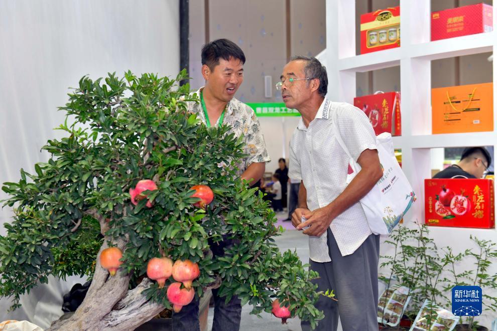 百胜滩娱乐